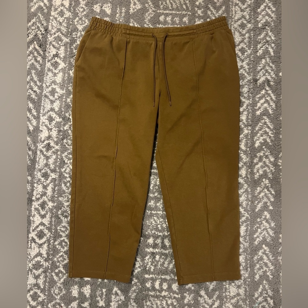 a new day Women's Brown Capris size XXL (R133)